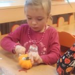 phoca_thumb_m_dn 13 Fotogalerie